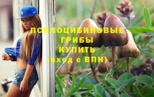 круглые Алексеевка