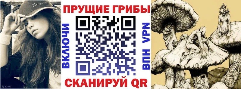 mega вход  Малоярославец  Псилоцибиновые грибы прущие грибы  цены  